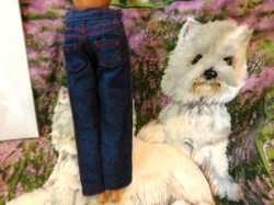 barbie jeans 2 bk view